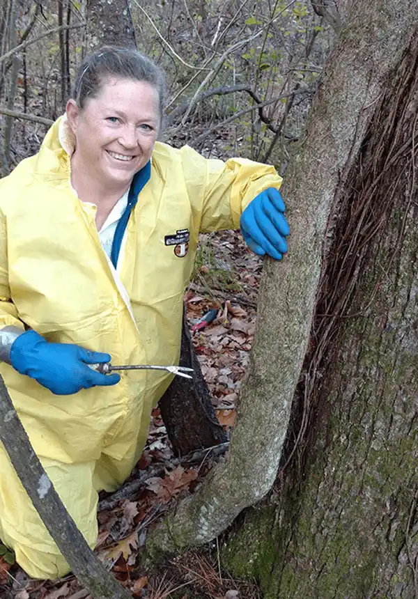 Helaine Hughes, founder of Poison Ivy Removal Company, on-site in a yellow hazmat suit removing poison ivy from a boulder in New Hampshire